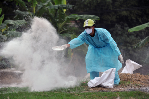 Hanoi deals with avian flu outbreaks